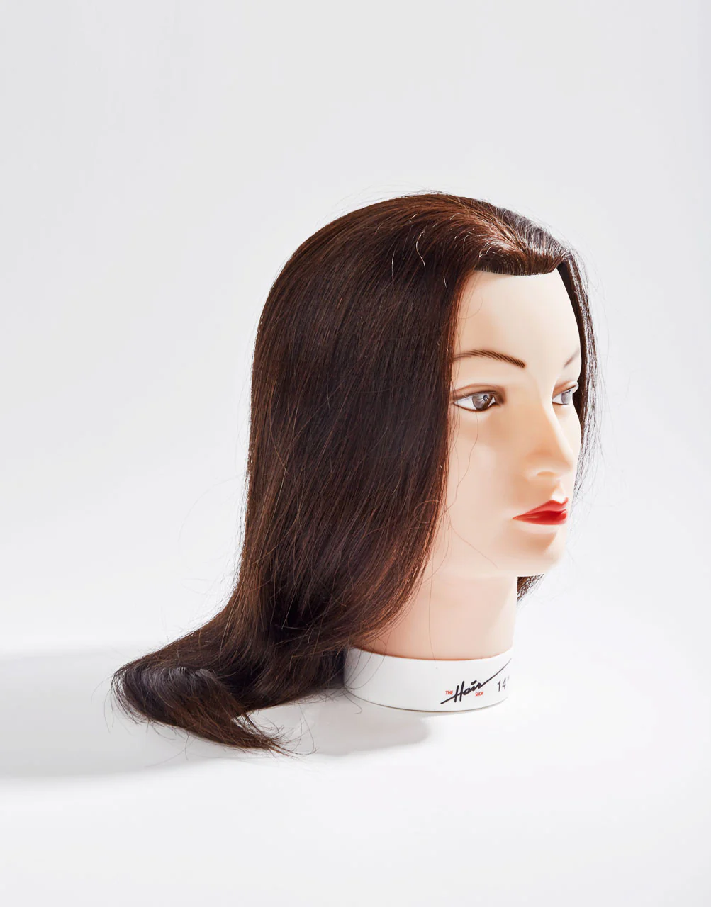 Mannequin Head